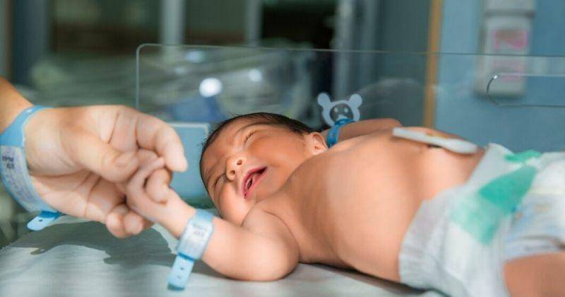 Freepik/KamranAydinov